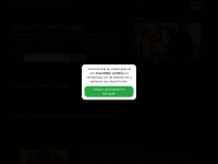 Streamonline.be