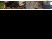 Pestprevent.nl
