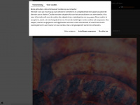 Meat-more.nl