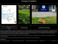 Zwammeninzuidhorn.nl