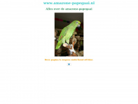 amazone-papegaai.nl