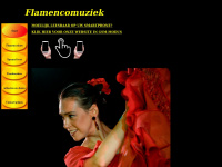 flamencomuziek.nl