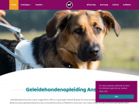 geleidehondenopleiding.nl