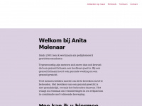 anitamolenaar.nl