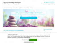 groningen-schoonmaak.nl
