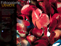 fotogalerieutrecht.nl