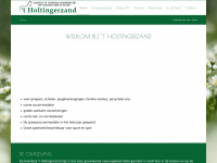 holtingerzand.nl