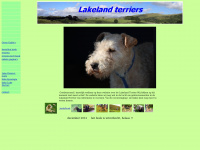 lakeland-terrier.nl