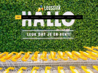 Leussink.info
