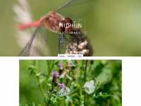 Muphin.nl