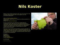 nilskoster.nl