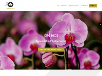orchios.nl