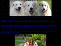 Payona.nl