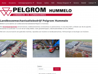 pelgrom.nl