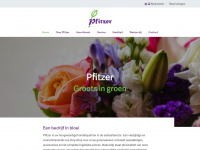 pfitzer.nl