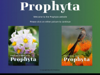Prophyta.org