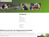 puppyschoolderoedel.nl