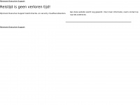 rijnmondexecutivesupport.nl