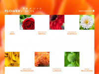 Flowervisionweb.com