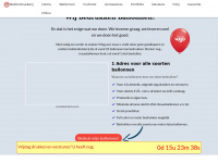 ballonbedrukken.nl