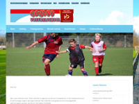 Romanovoetbalschool.nl
