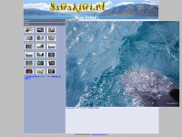 Sawakiwi.nl
