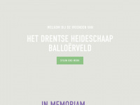 schaapskuddeballoerveld.nl