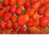 Strawberry.nl