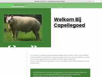 texelse-schapen.nl