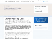 Verstopping-gouda.nl