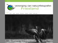 vnf-friesland.nl