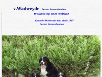 Wadweyde.nl