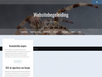 websitebegeleiding.nl