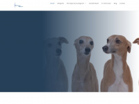 Southgrovewhippets.com
