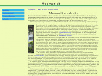 meerwaldt.nl