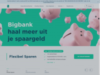 bigbank.nl