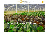 ichtusflowers.com