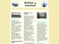 Hollum.info