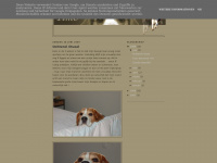 beagletimo.blogspot.com