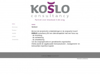 Kosloconsultancy.com