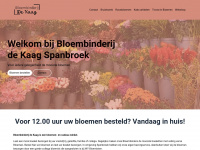 bloembinderijdekaag.nl