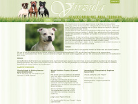 virzula.com