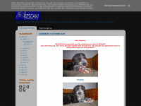 Rescani-blog.blogspot.com