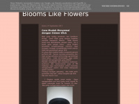 bloomsflowers.blogspot.com
