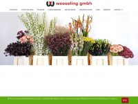 Wesseling-gmbh.de