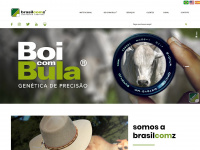 brasilcomz.com