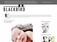 blackbirdstyle.blogspot.com