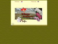 orchids-klinge.com