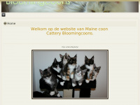 Bloomingcoons.nl