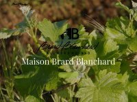 Brard-blanchard.fr